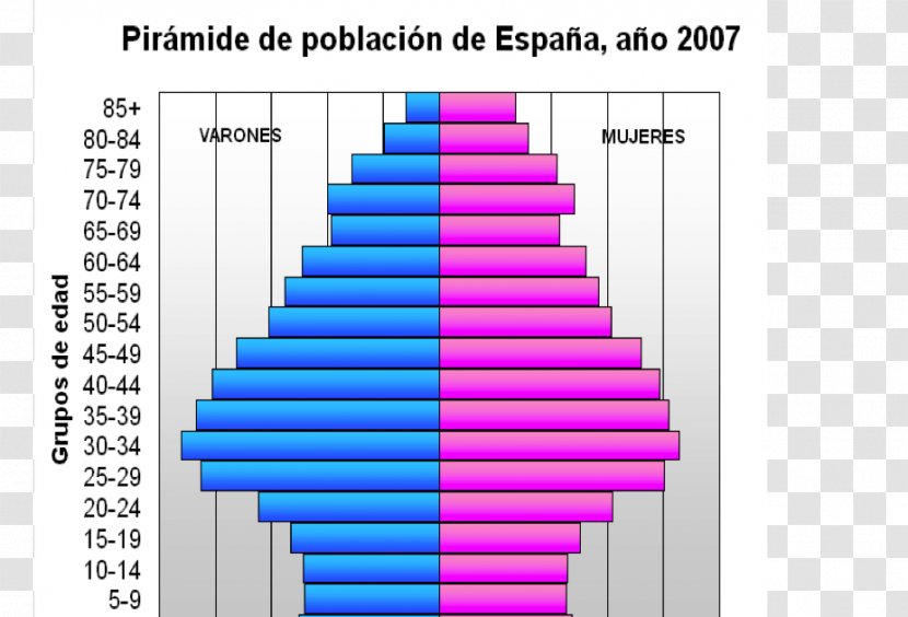 Population Age Structure Pyramid Demography World - Poblacion Transparent PNG