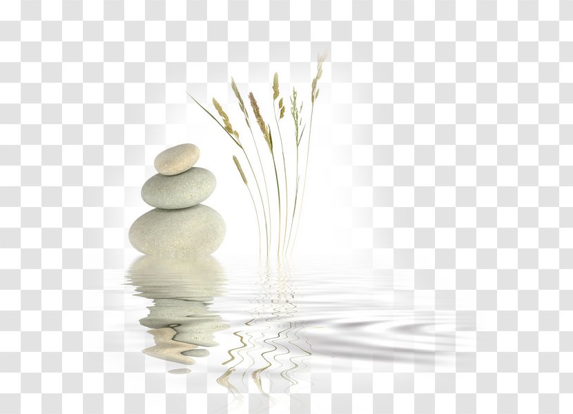 Zen Master Meditation Religion Mindfulness - Hotel Transparent PNG