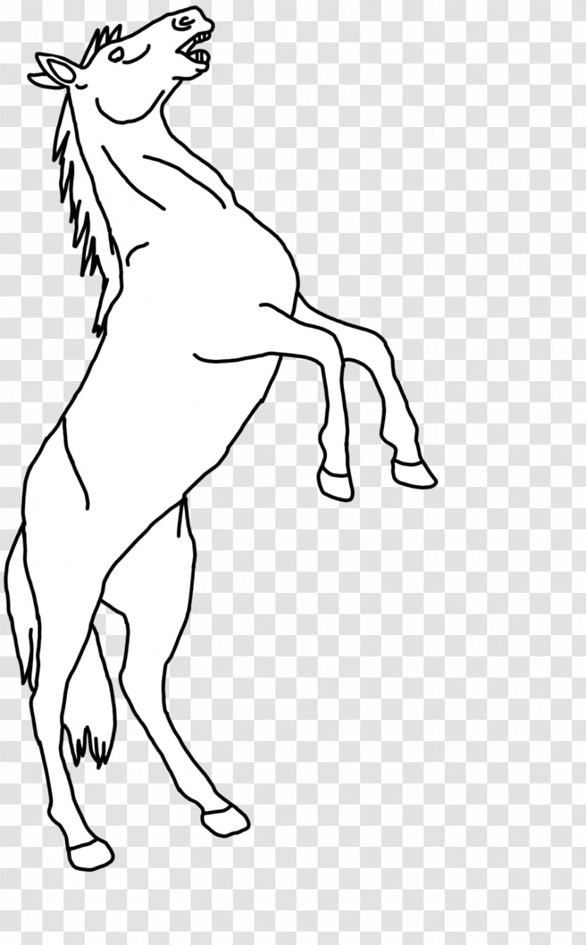 Mane Line Art Drawing Mustang - Monochrome Photography Transparent PNG