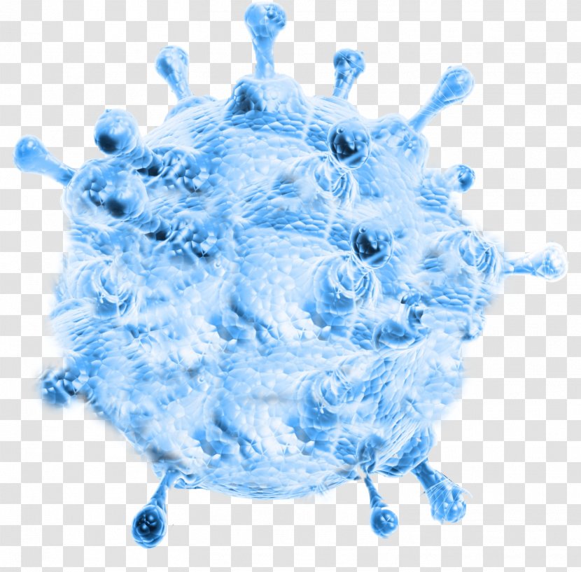 Antimicrobial Resistance Bacteria Infection Microorganism - Blue - Microbes Transparent PNG