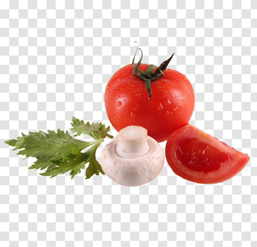 Plastic U70dfu53f0u7ad9 Municipal Solid Waste Container Tomato - Potato And Genus - Pictures Of Fruits Vegetables Transparent PNG