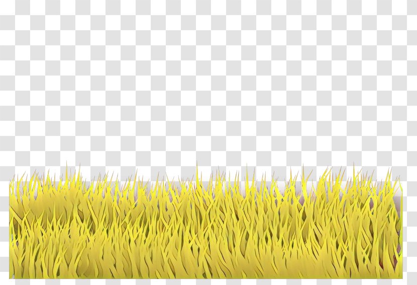Grass Yellow Family Plant Transparent PNG