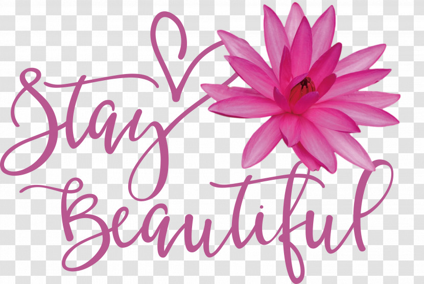 Stay Beautiful Fashion Transparent PNG