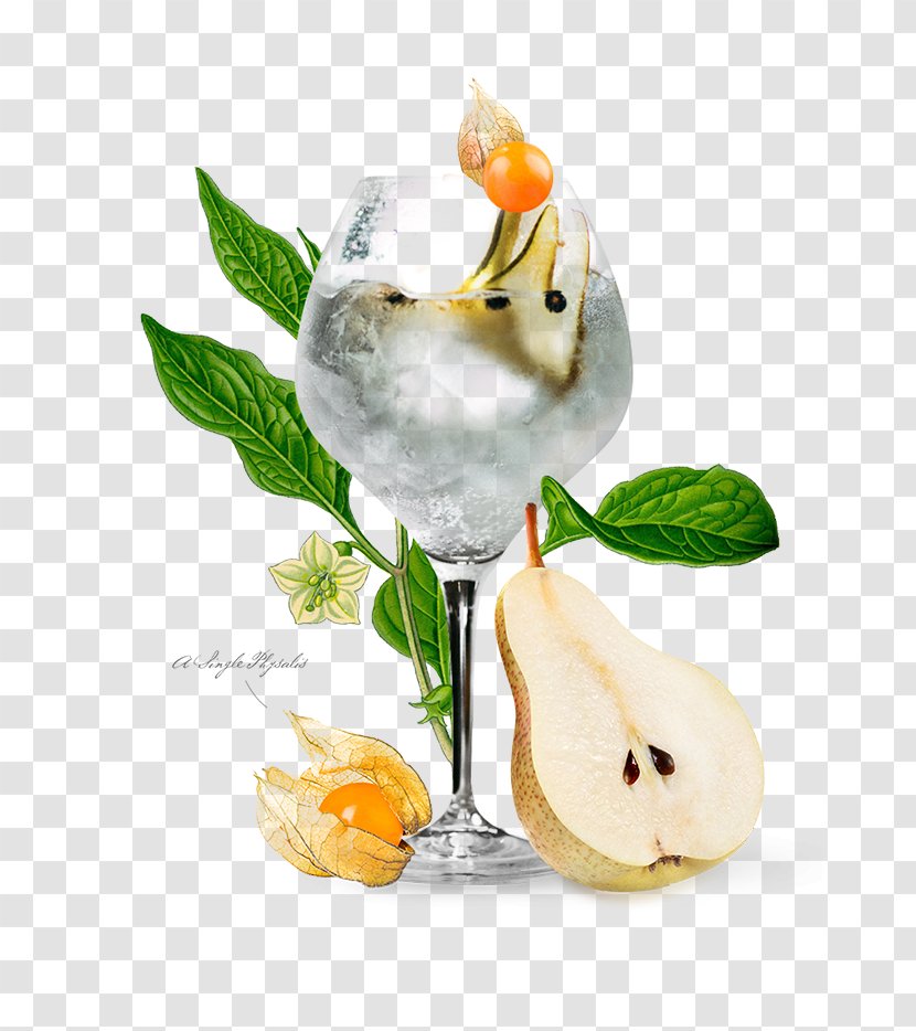 Cocktail Garnish Chinese Lantern Flavor - Fruit Transparent PNG