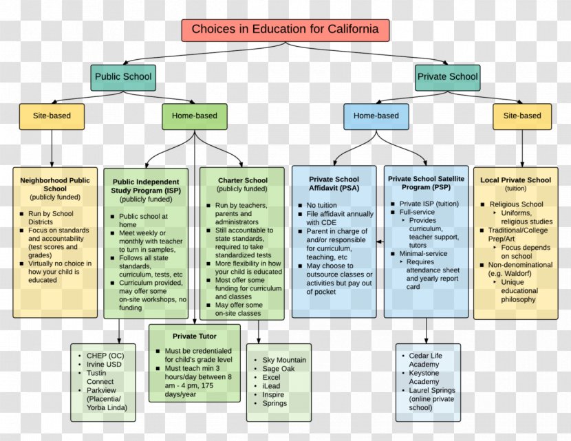 Education Private School Homeschooling Teacher - Communication - Tree Timeline Transparent PNG