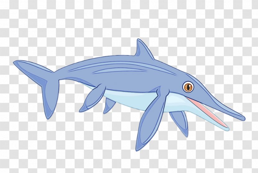 Shark - Paint - Marine Biology Transparent PNG