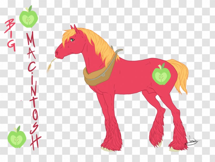Big McIntosh Fluttershy Applejack Twilight Sparkle Pony - Horse Like Mammal Transparent PNG