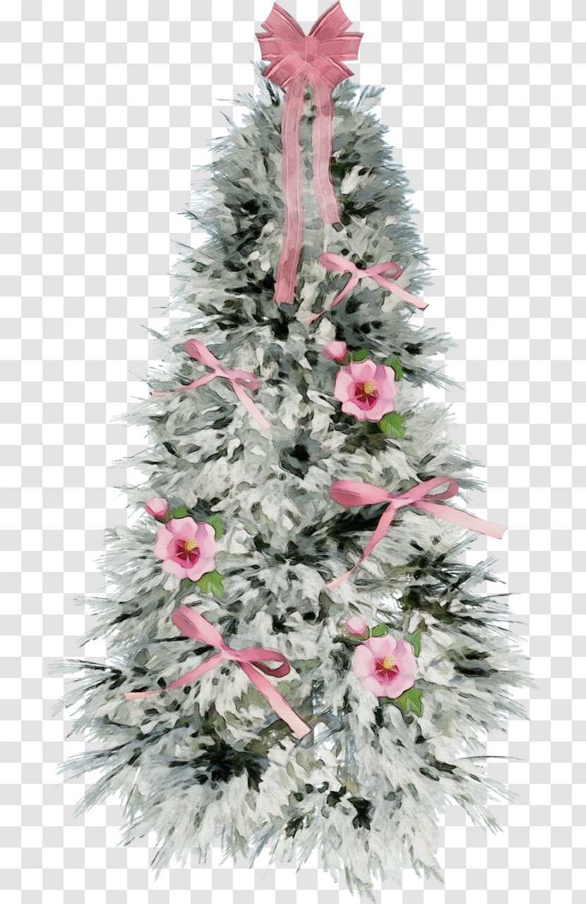 Christmas Tree - Decoration - Woody Plant Balsam Fir Transparent PNG