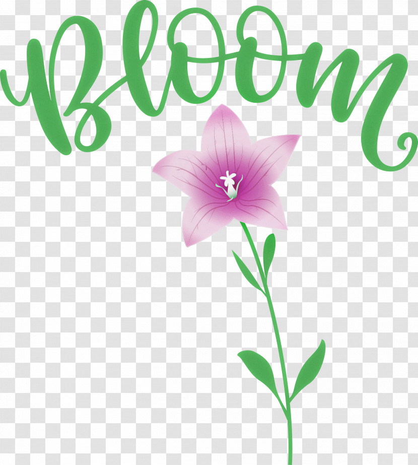 Bloom Spring Flower Transparent PNG