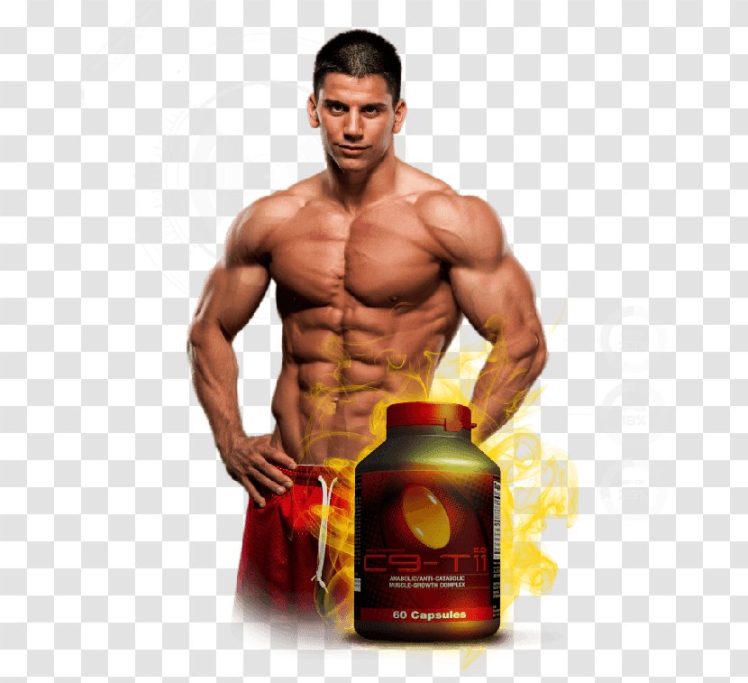 Bodybuilding Supplement Sports Training Physical Fitness Vascularity - Watercolor - Muscle Man Transparent PNG