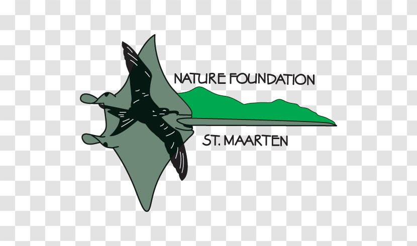 St Maarten Nature Foundation Hurricane Irma Philipsburg Oyster Pond Story - Nongovernmental Organisation - Street With Transparent PNG