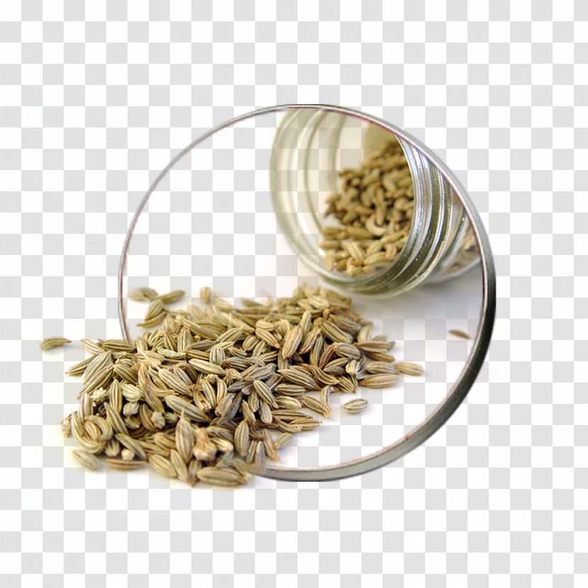 Fennel Herb Seed Indian Cuisine Fenugreek - Mohammad Ali Taraghijah Transparent PNG