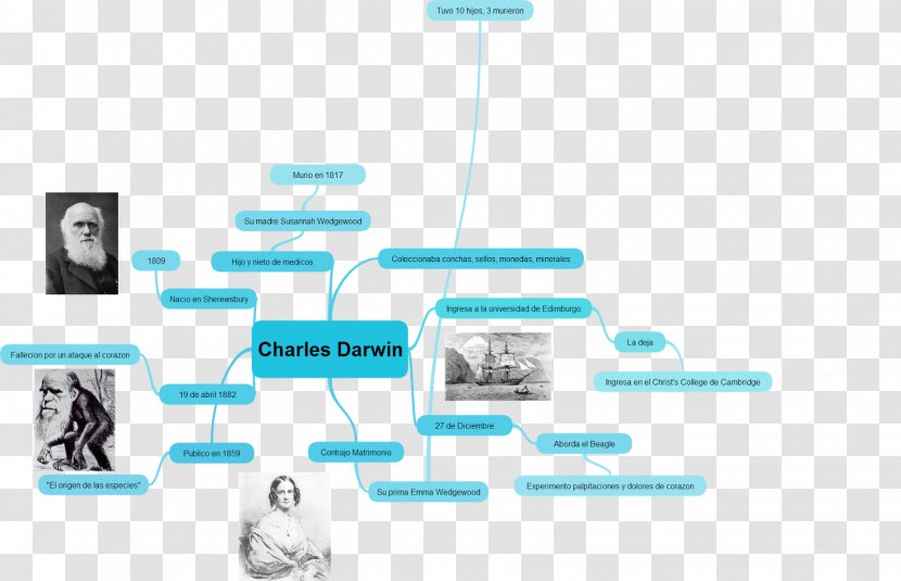 On The Origin Of Species Mind Map Diagram World - Computer Network Transparent PNG