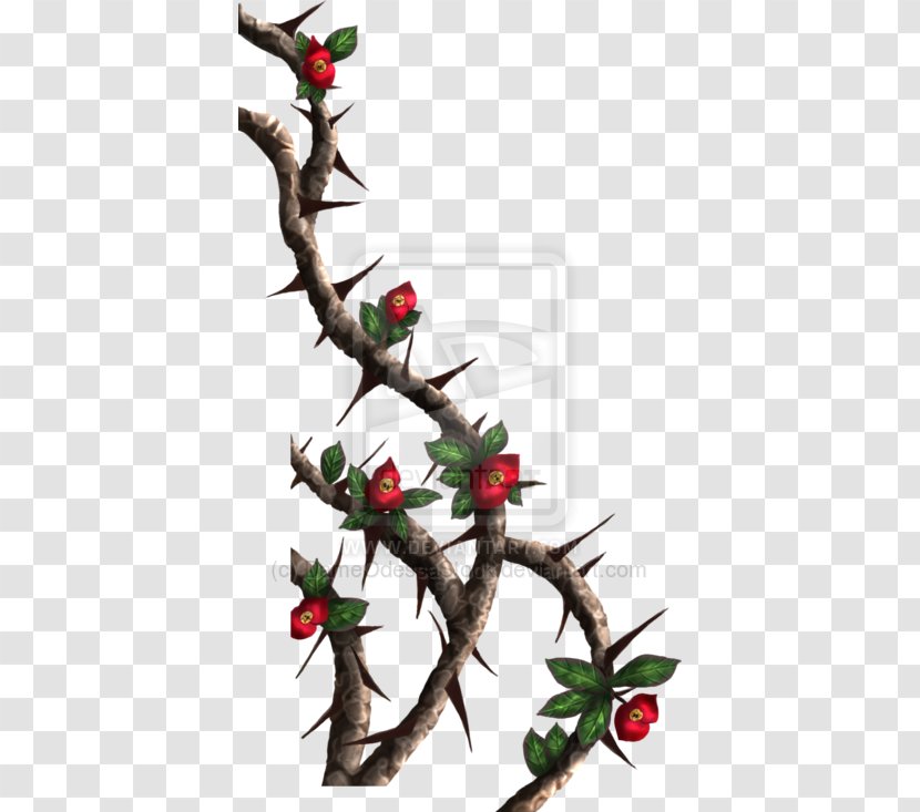 Thorns, Spines, And Prickles Rose Vine Drawing Clip Art - Christmas - Crown Of Thorns Transparent PNG