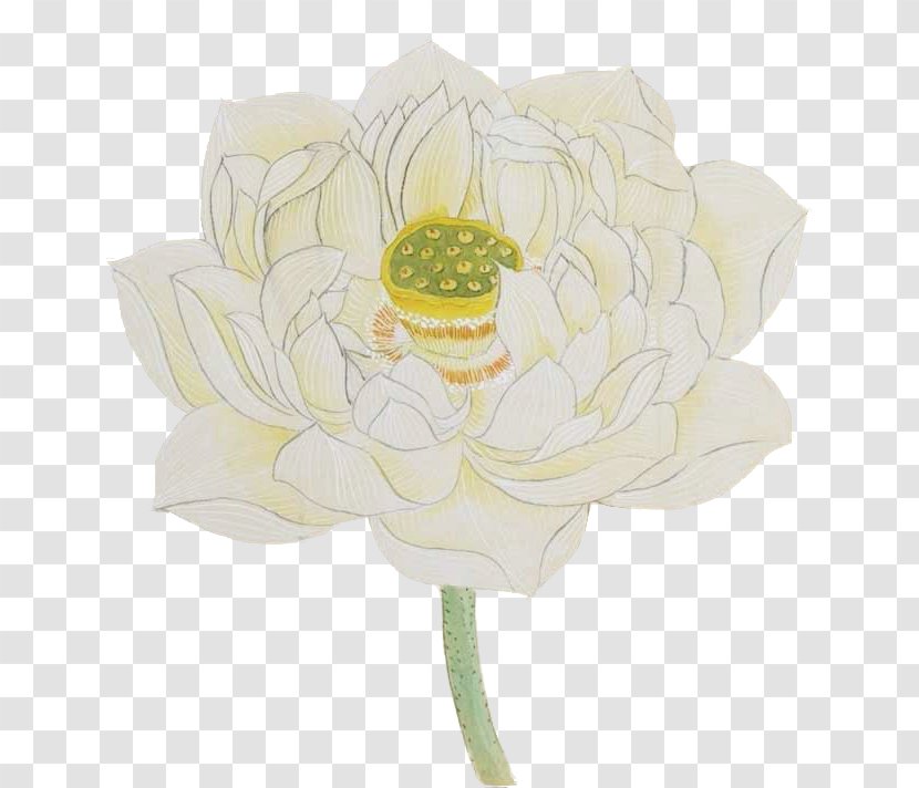 Rosaceae Floral Design Cut Flowers Flower Bouquet - Lotus Transparent PNG