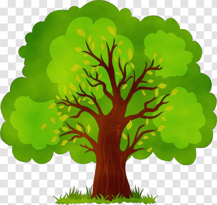 Arbor Day - Paint - Grass Woody Plant Transparent PNG
