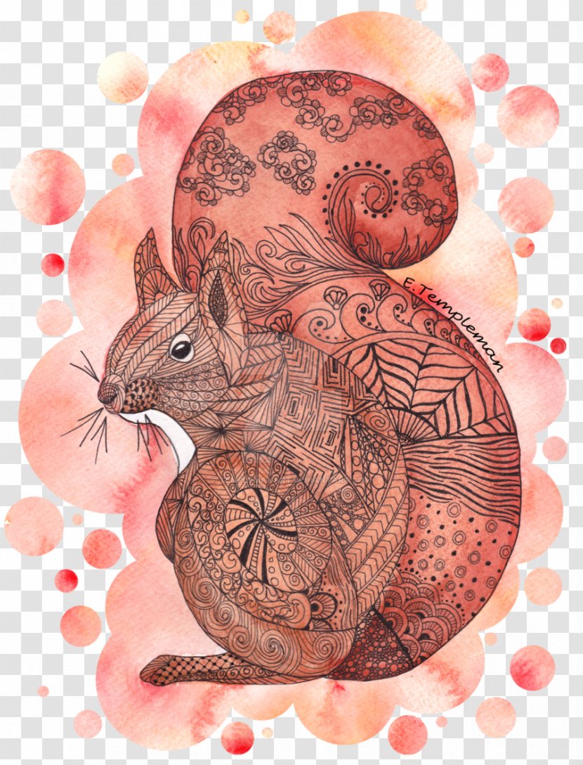 Red Squirrel Rodent Doodle Transparent PNG