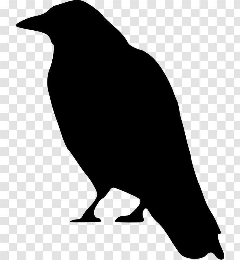 Crow Clip Art - Document Transparent PNG