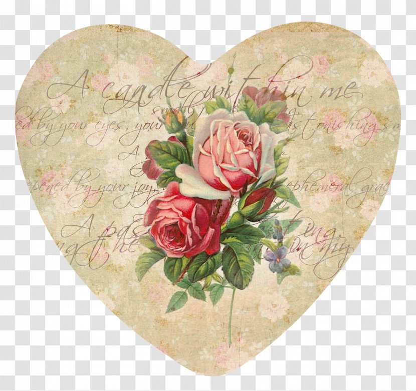 Heart Cut Flowers Garden Roses Clip Art - Rosa Centifolia - Shabby Transparent PNG