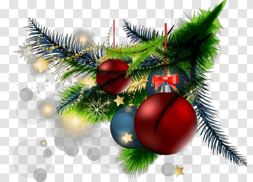 Christmas Tree - Branch - Woody Plant Transparent PNG
