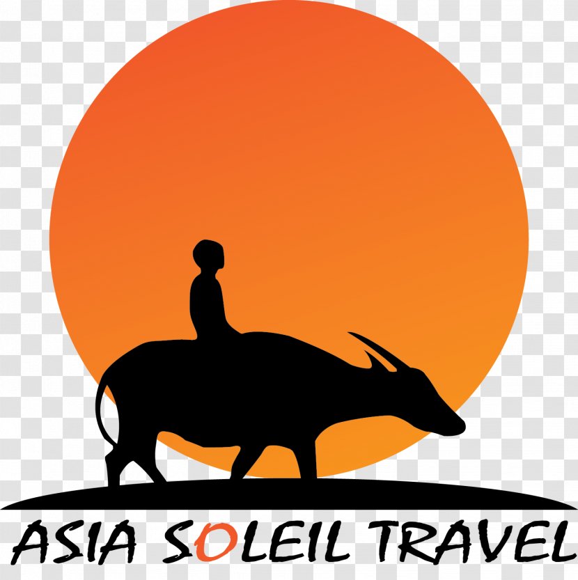 Hanoi Asia Soleil Travel Tourist Attraction Hạ Long - H%e1%ba%a1 Transparent PNG