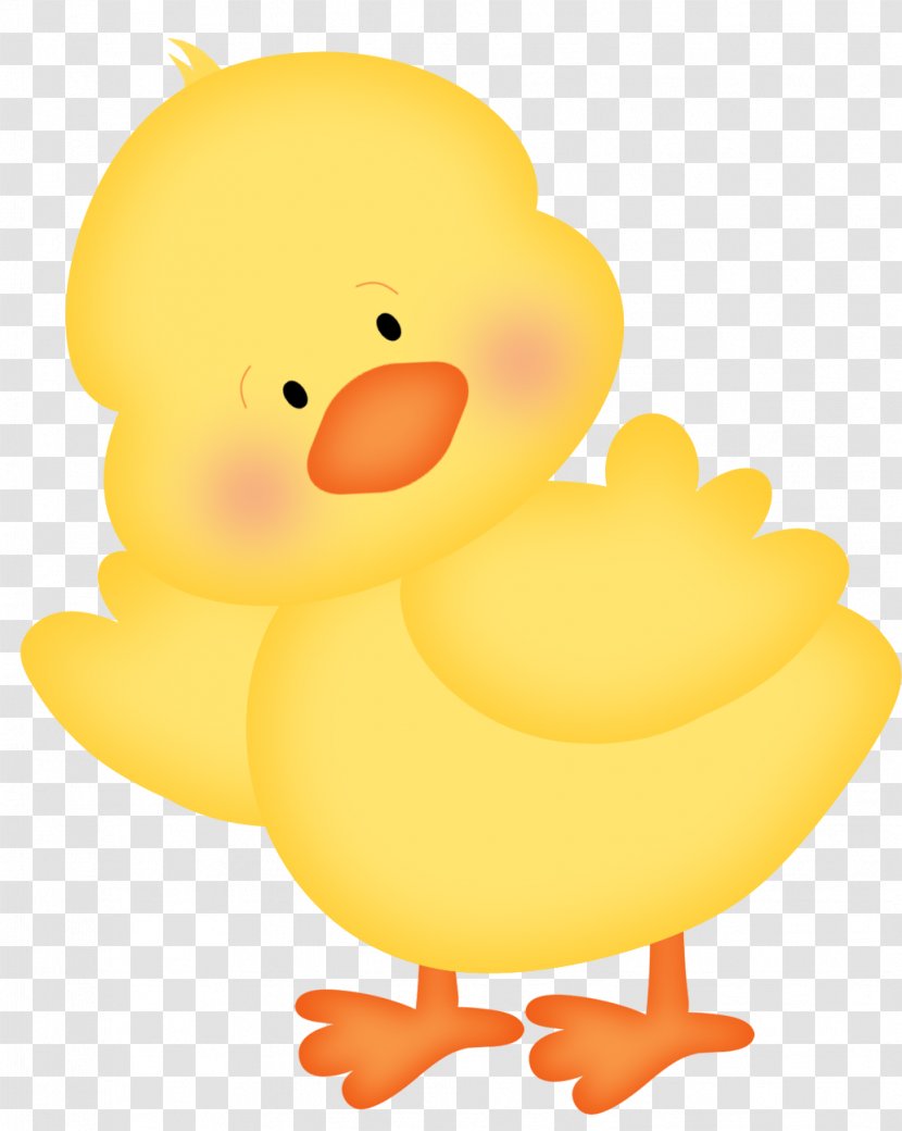 Chicken Easter Duck Clip Art - Vertebrate - Happy Transparent PNG