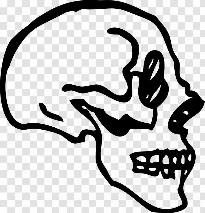 Skull Human Skeleton Drawing Clip Art - Silhouette Transparent PNG
