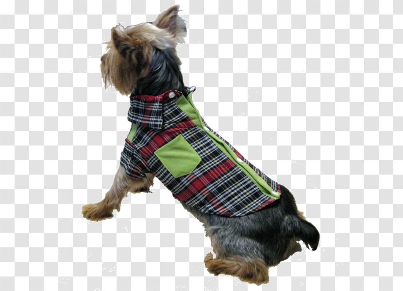 Tartan Collar Dress Shirt Button - Dog Like Mammal Transparent PNG