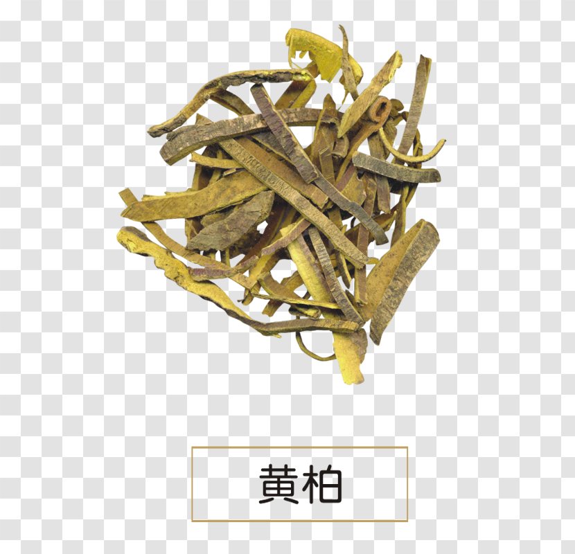 Phellodendron Amurense Chinense Dietary Supplement Huáng Bǎi Extract - Berberine - Treats Transparent PNG