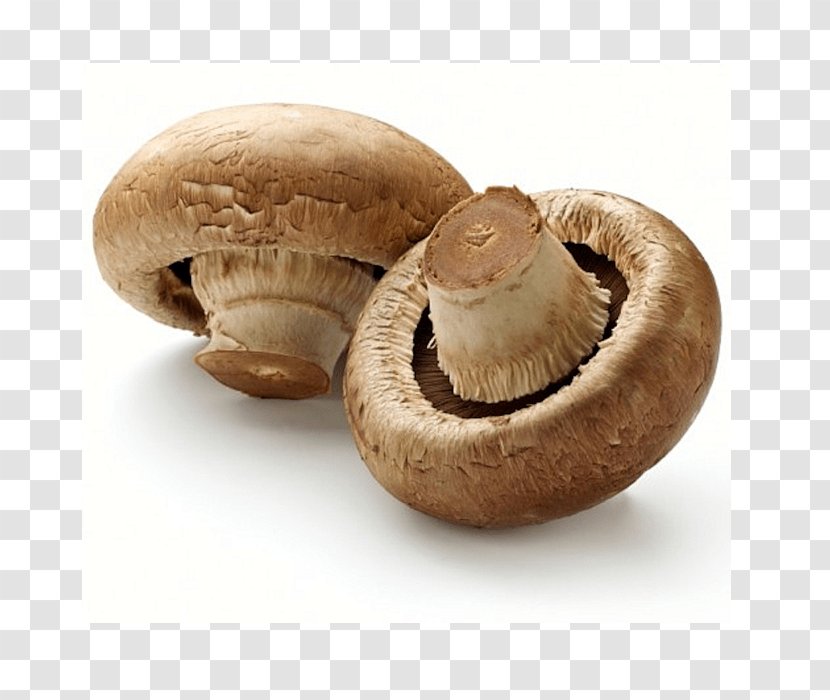 Common Mushroom Edible Fungus Oyster - Pleurotus Eryngii - Papaya Salad Transparent PNG