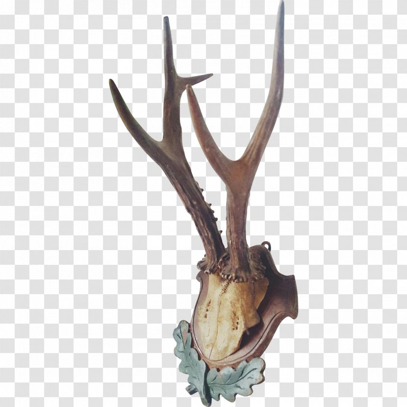Deer Antler Horn Transparent PNG