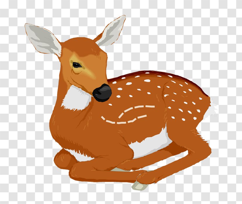 White-tailed Deer Clip Art - Fauna Transparent PNG