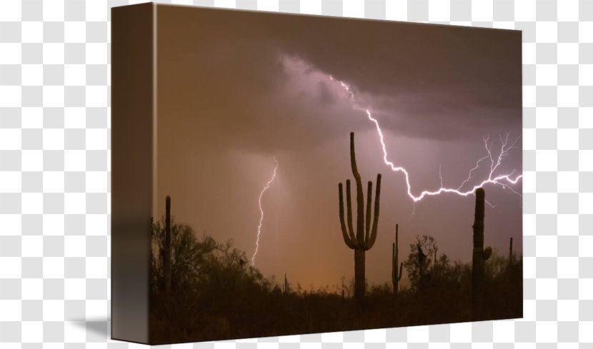 Sonoran Desert Lightning Southwestern United States Thunderstorm - Arizona Transparent PNG
