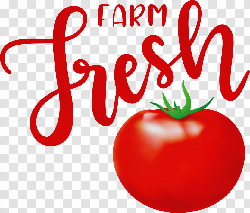 Tomato Transparent PNG