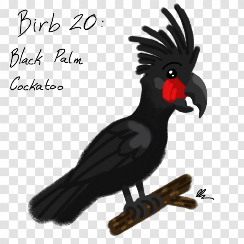 Cockatiel Palm Cockatoo Art Beak - Animal - Cacatua Transparent PNG