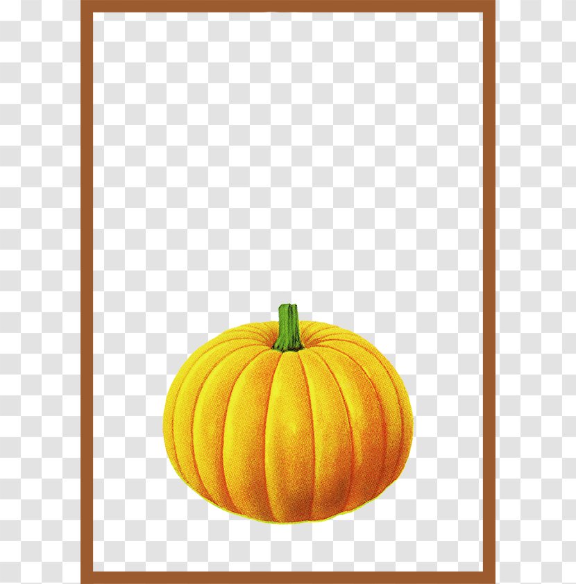 Pumpkin Calabaza Brown - Library - Simple Frame Border Texture Transparent PNG