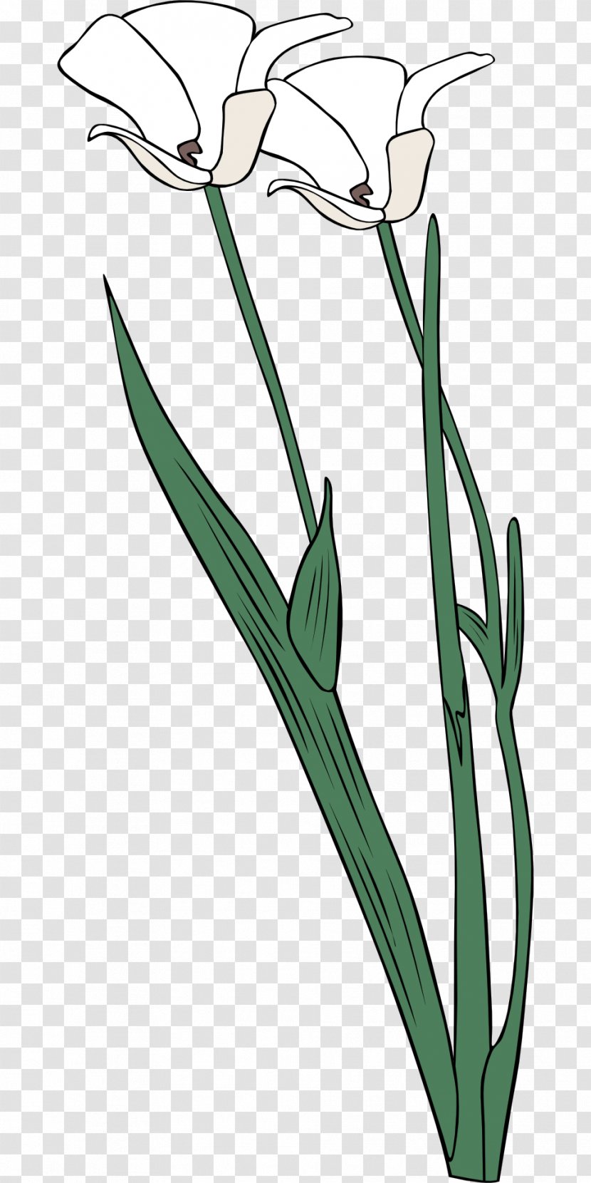 Clip Art - Licence Cc0 - Lily Of The Valley Transparent PNG
