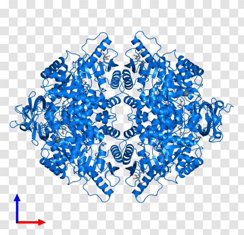 Process Area M - Blue - Airsoft Koblenz Text Internet DigitizationPyruvate Kinase Transparent PNG