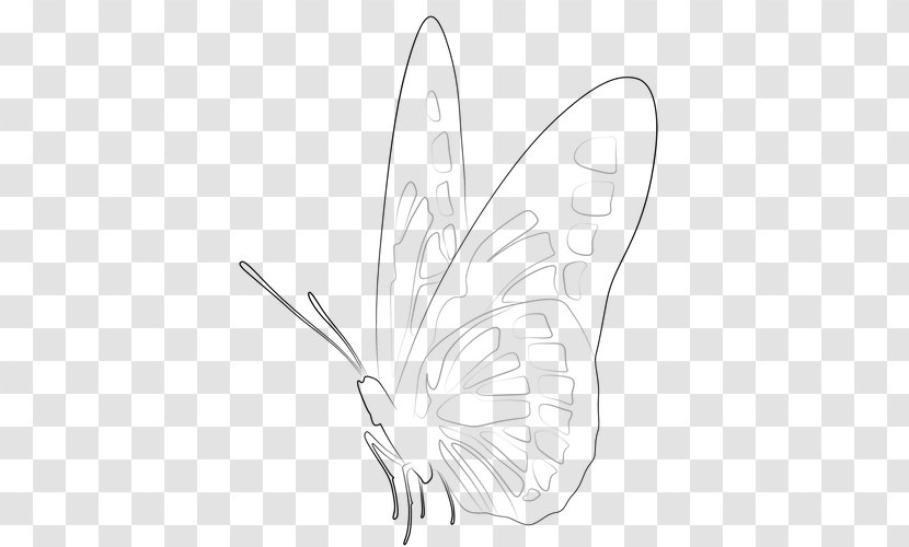 Brush-footed Butterflies Moth Sketch Butterfly Design - White - Line Drawing Transparent PNG
