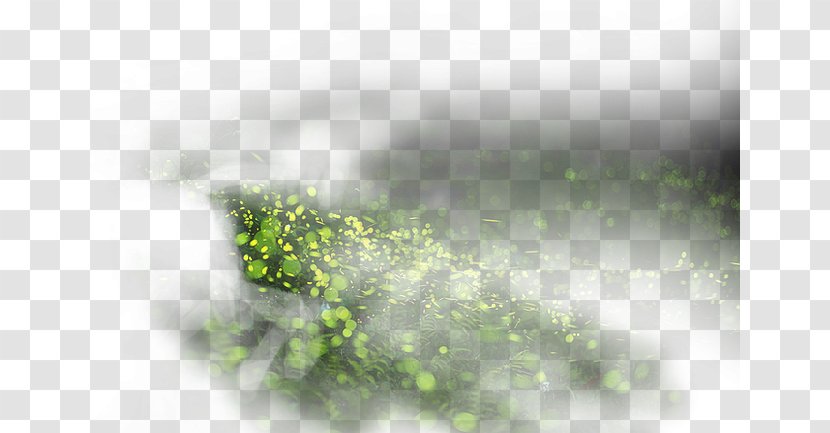 Green Water Sky Computer Wallpaper - Sunlight - Grass Transparent PNG
