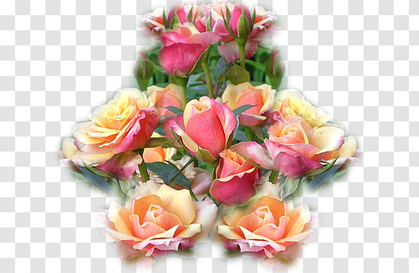 Garden Roses Cabbage Rose Cut Flowers Floral Design - Flower Bouquet Transparent PNG