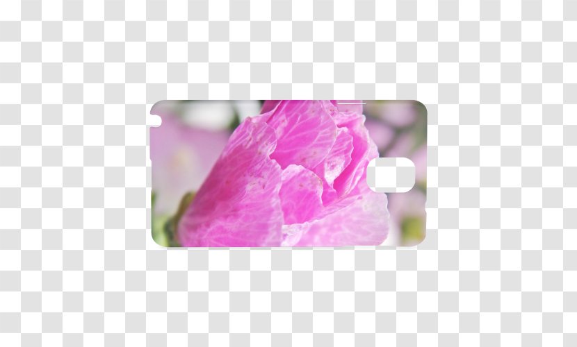 Pink M - Musk Flower Transparent PNG