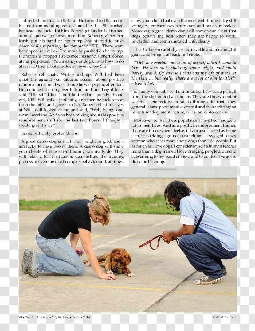 Dog Obedience Training Trial News - Mammal - The Is Paying A New Year Call Transparent PNG