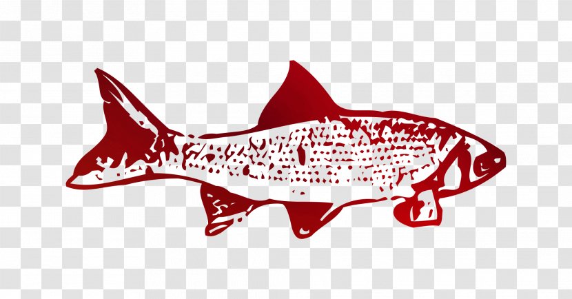Shark Logo Book Font Marine Mammal - Fin Transparent PNG