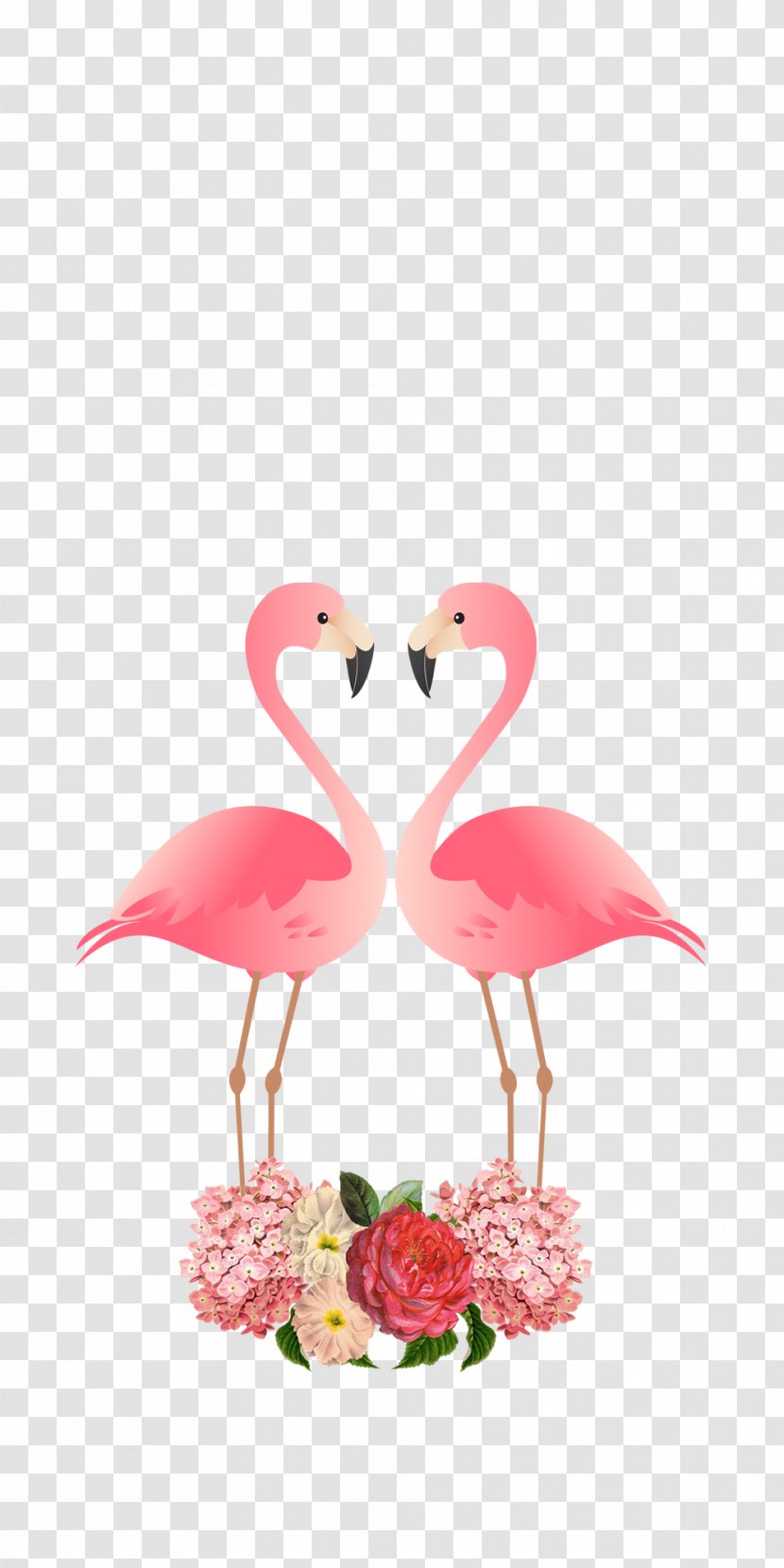 Flamingo - Pink - Heart Plant Transparent PNG