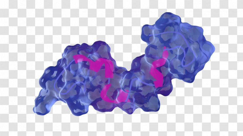Tau Protein Purple Blue - Subcribe Transparent PNG