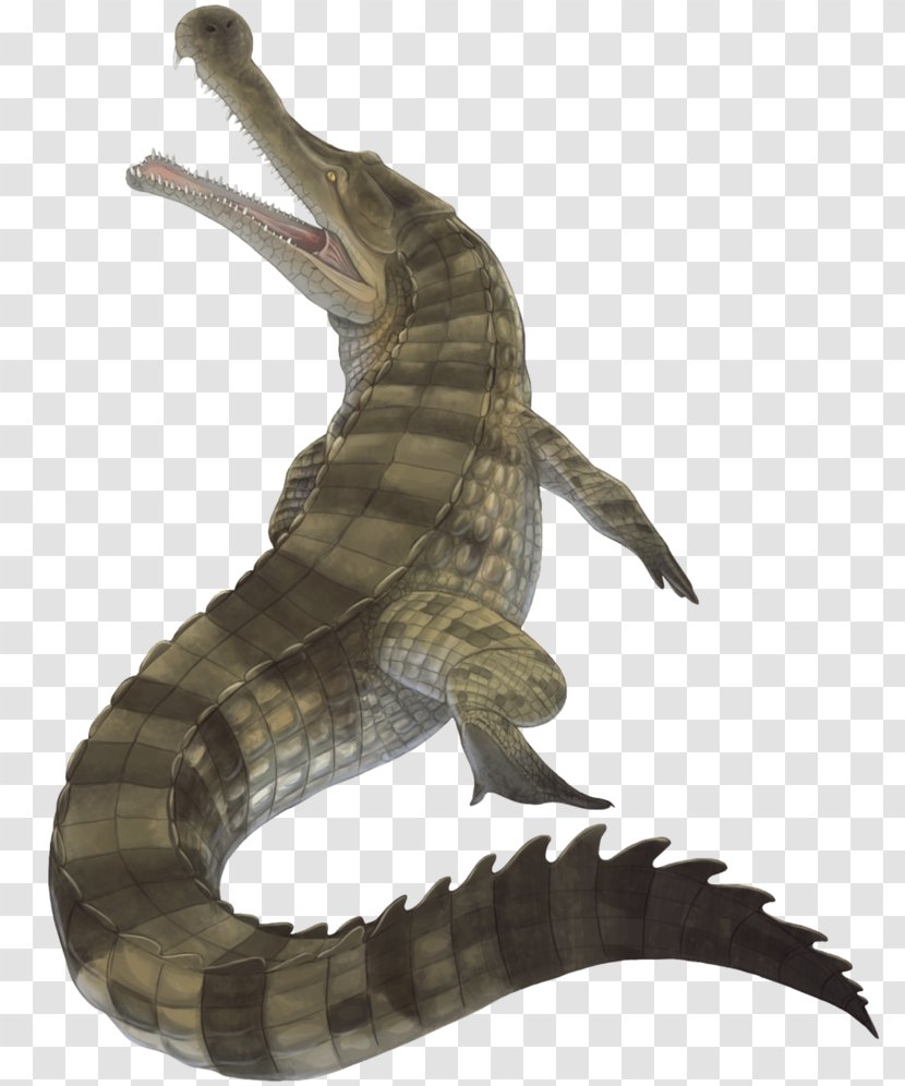 Crocodile Sarcosuchus Deinosuchus Kaprosuchus Spinosaurus - Cretaceous Transparent PNG