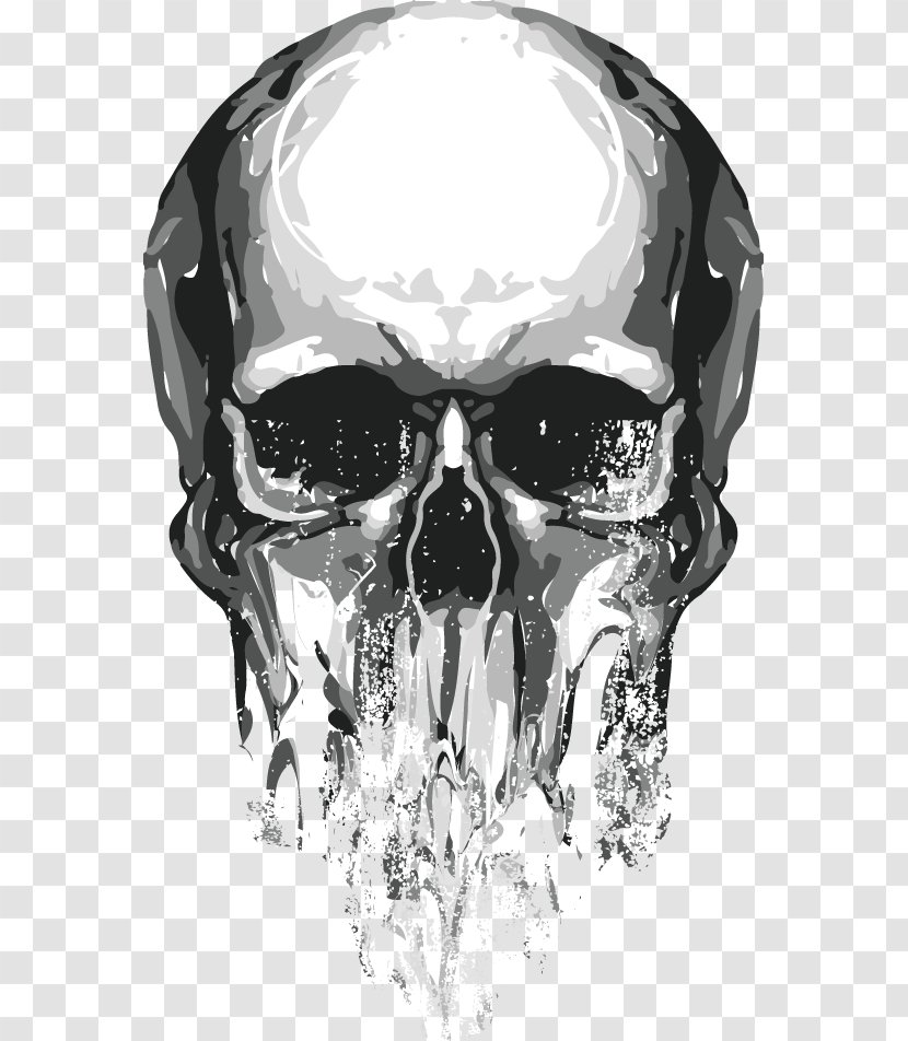 Skull Euclidean Vector - Jaw Transparent PNG