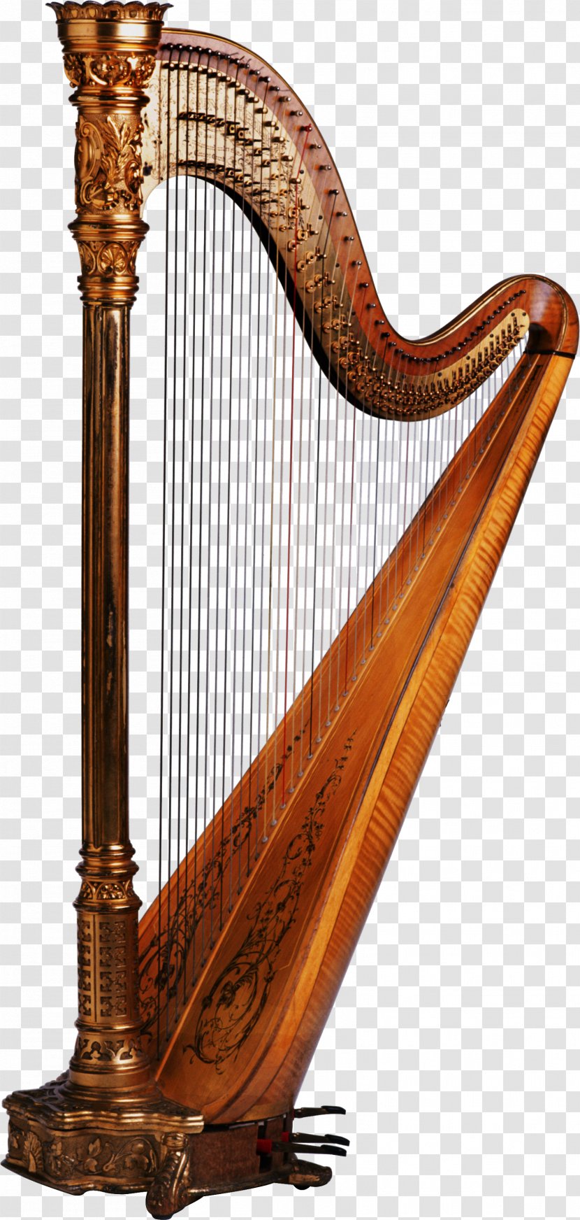 Harp Musical Instruments Maraca Cuatro String - Watercolor Transparent PNG