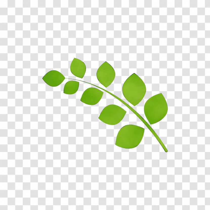 Logo Leaf Green Meter Line Transparent PNG